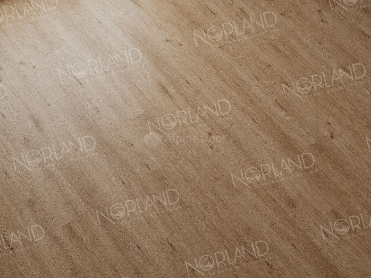 Norland LVT плитка Abbi 1003-1