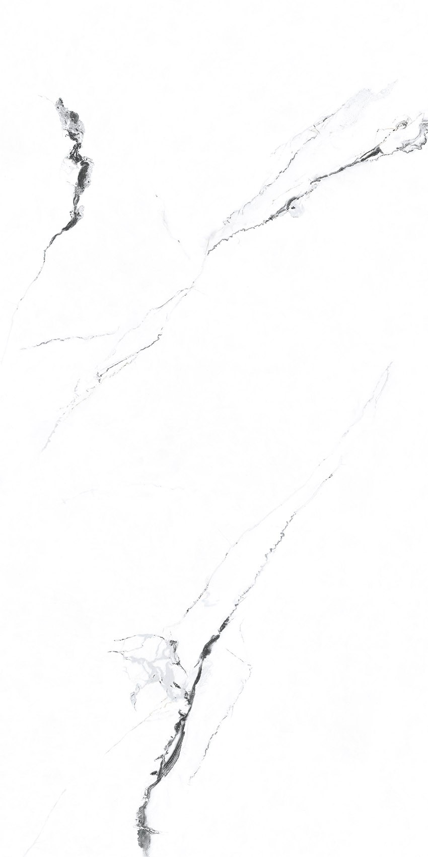 Primavera PR222 Videl Bianco Polished 1200х600х9мм