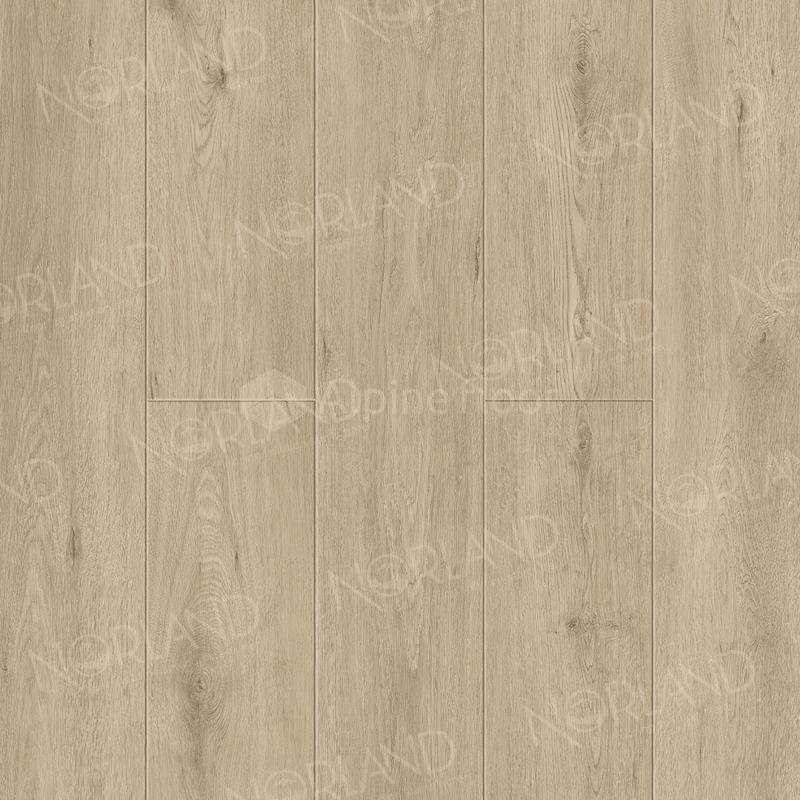Norland Abbi 1006-1