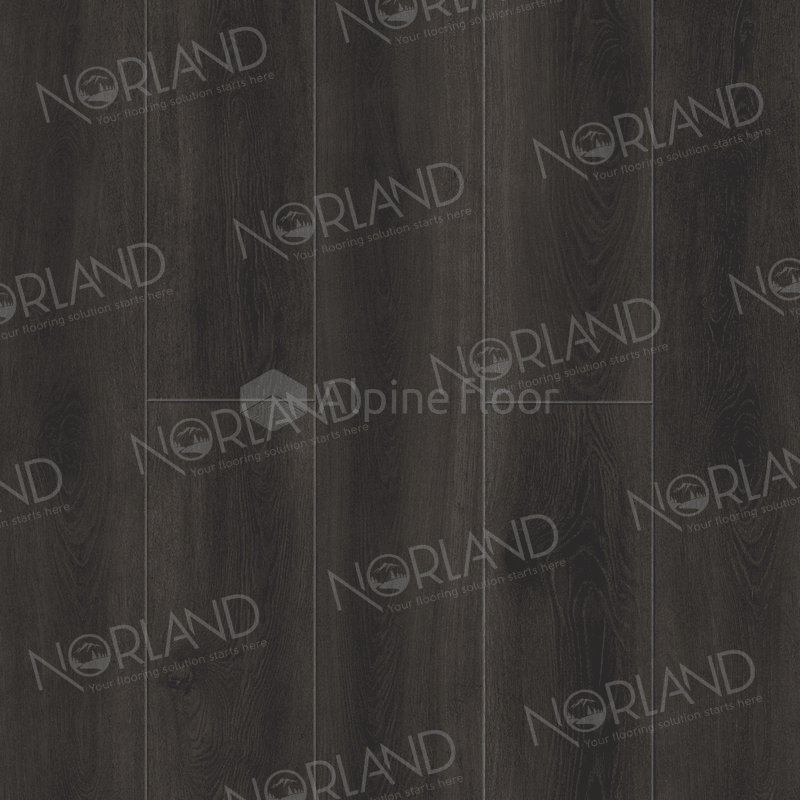 Norland Rondane 2001-5