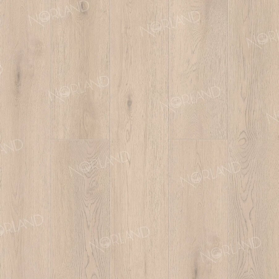 Norland Alante 1006-7
