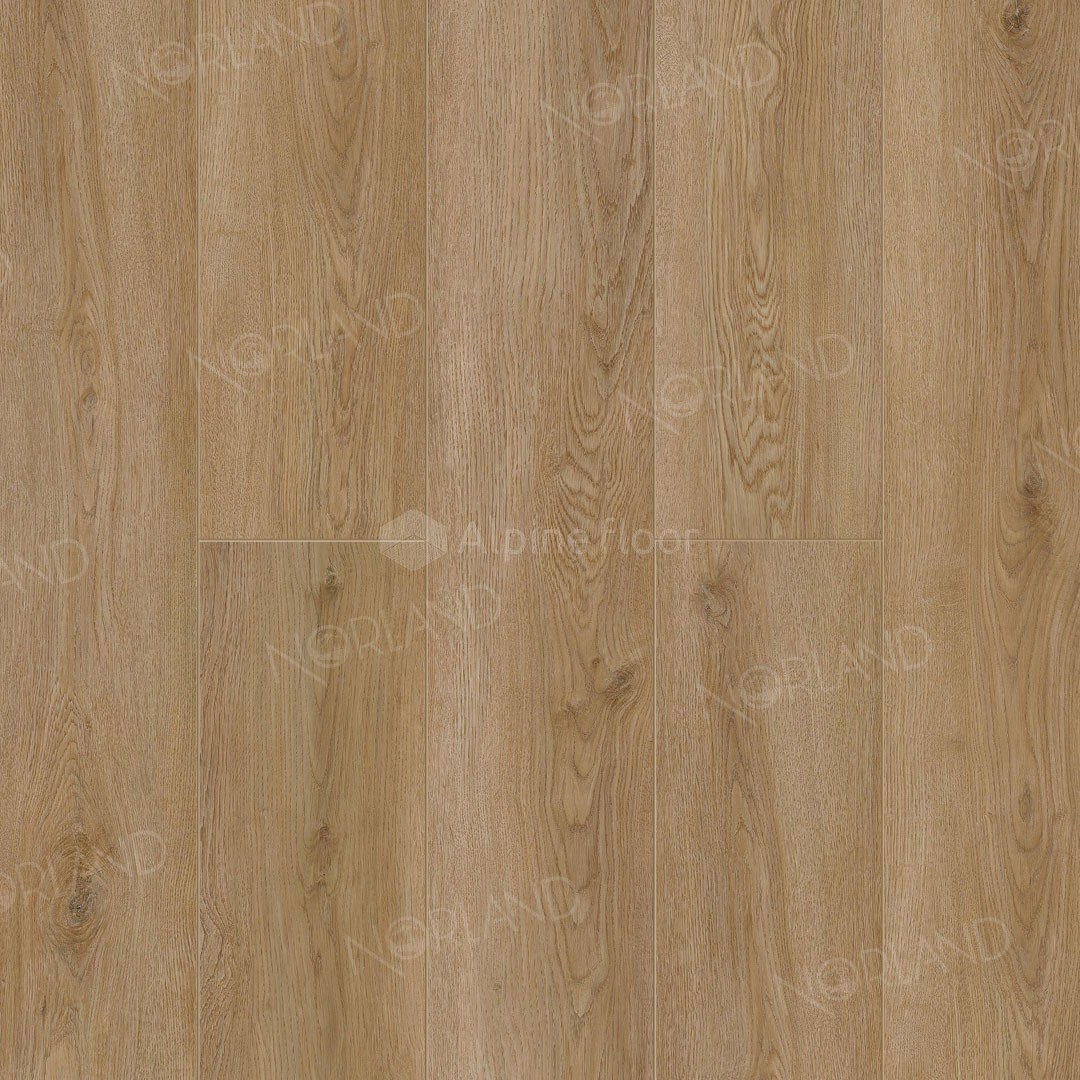 Norland Niky 1001-20