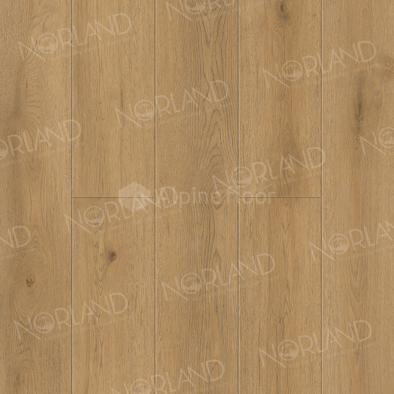 Norland Blake 1006-10