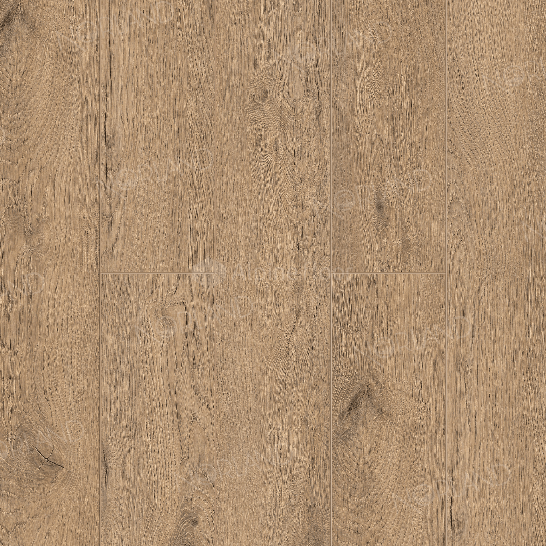 Norland Sandra 1022-4