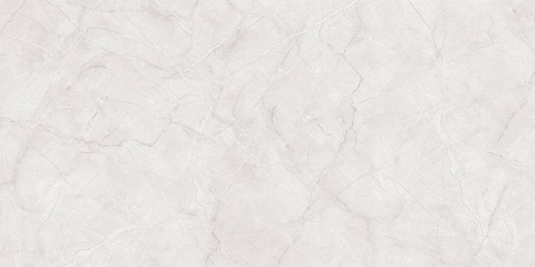 Primavera Керамогранит Primavera Vanity Bianco Matt Granula MG211 1200х600х9