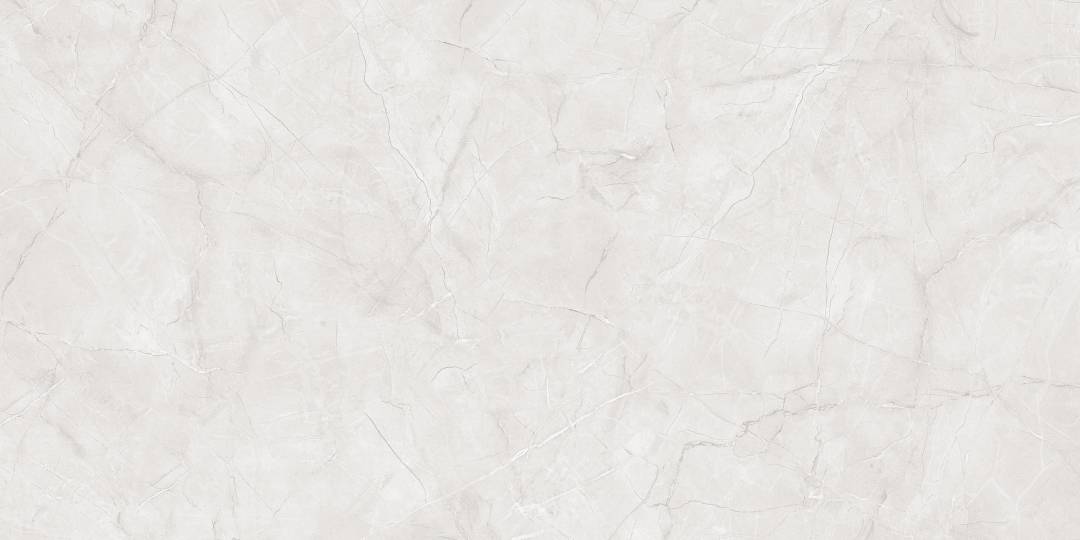 Primavera Керамогранит Primavera Vanity Bianco Matt Granula MG211 1200х600х9