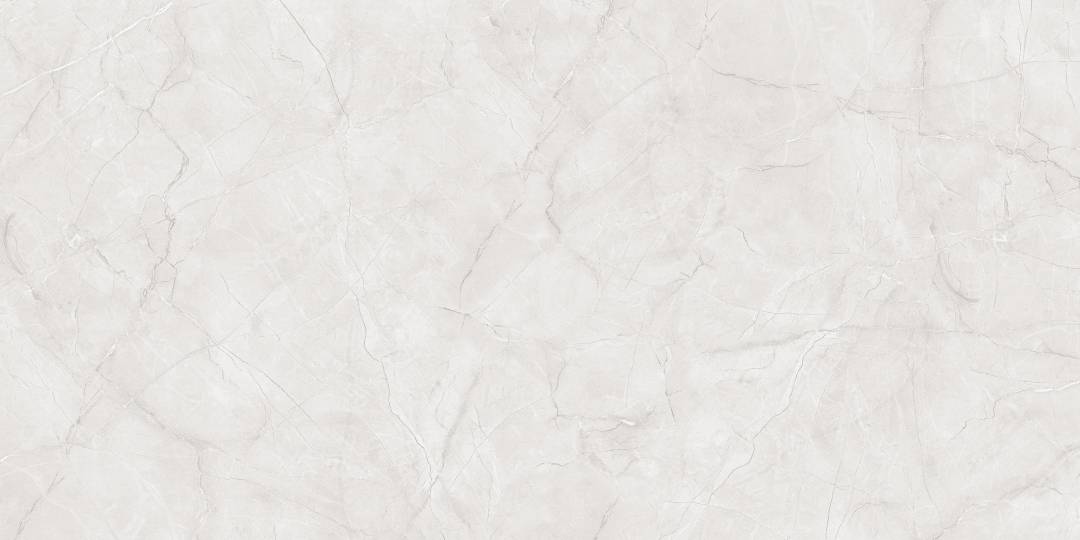 Primavera Керамогранит Primavera Vanity Bianco Matt Granula MG211 1200х600х9