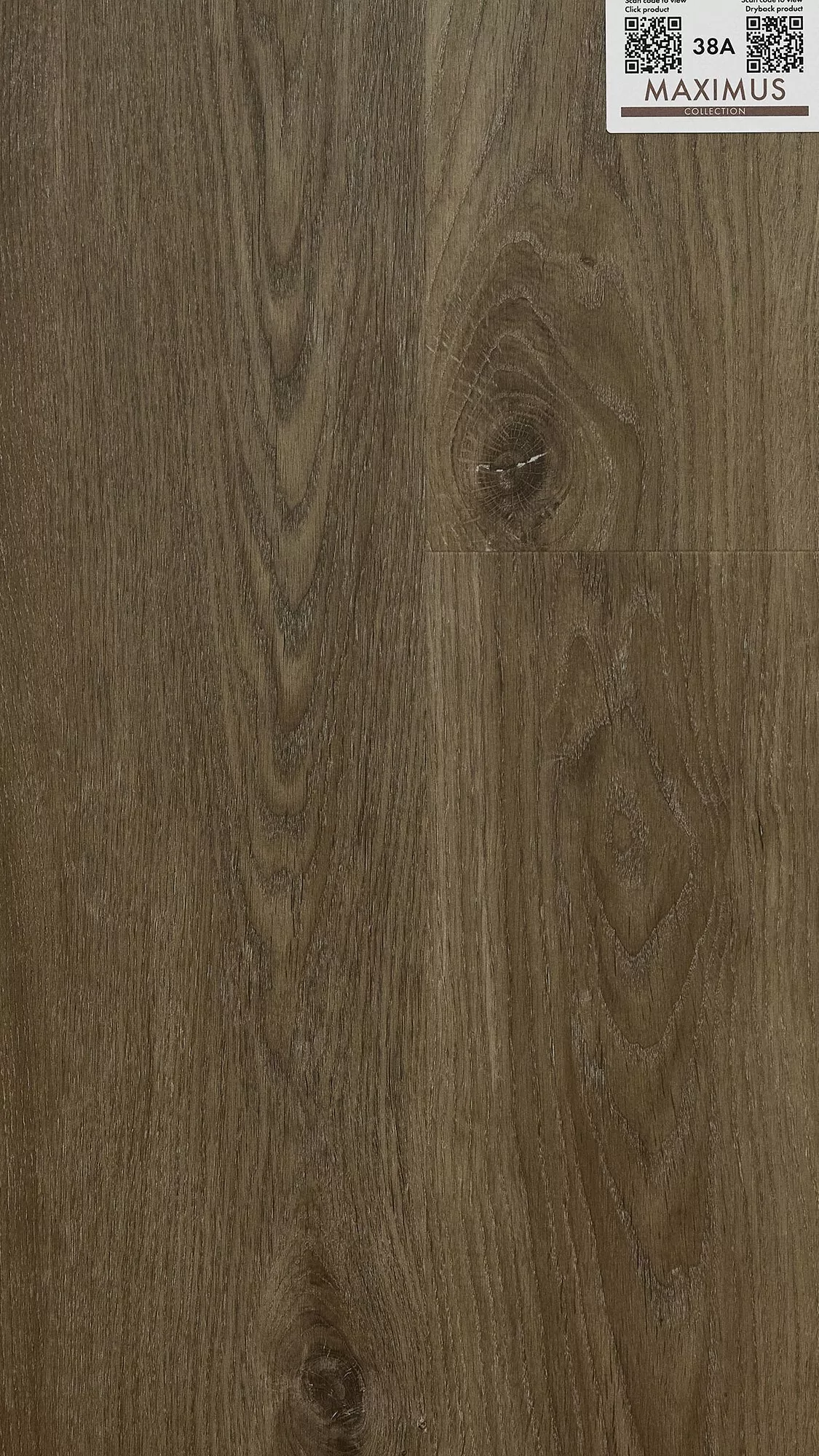 Invictus SHERWOOD OAK Mink