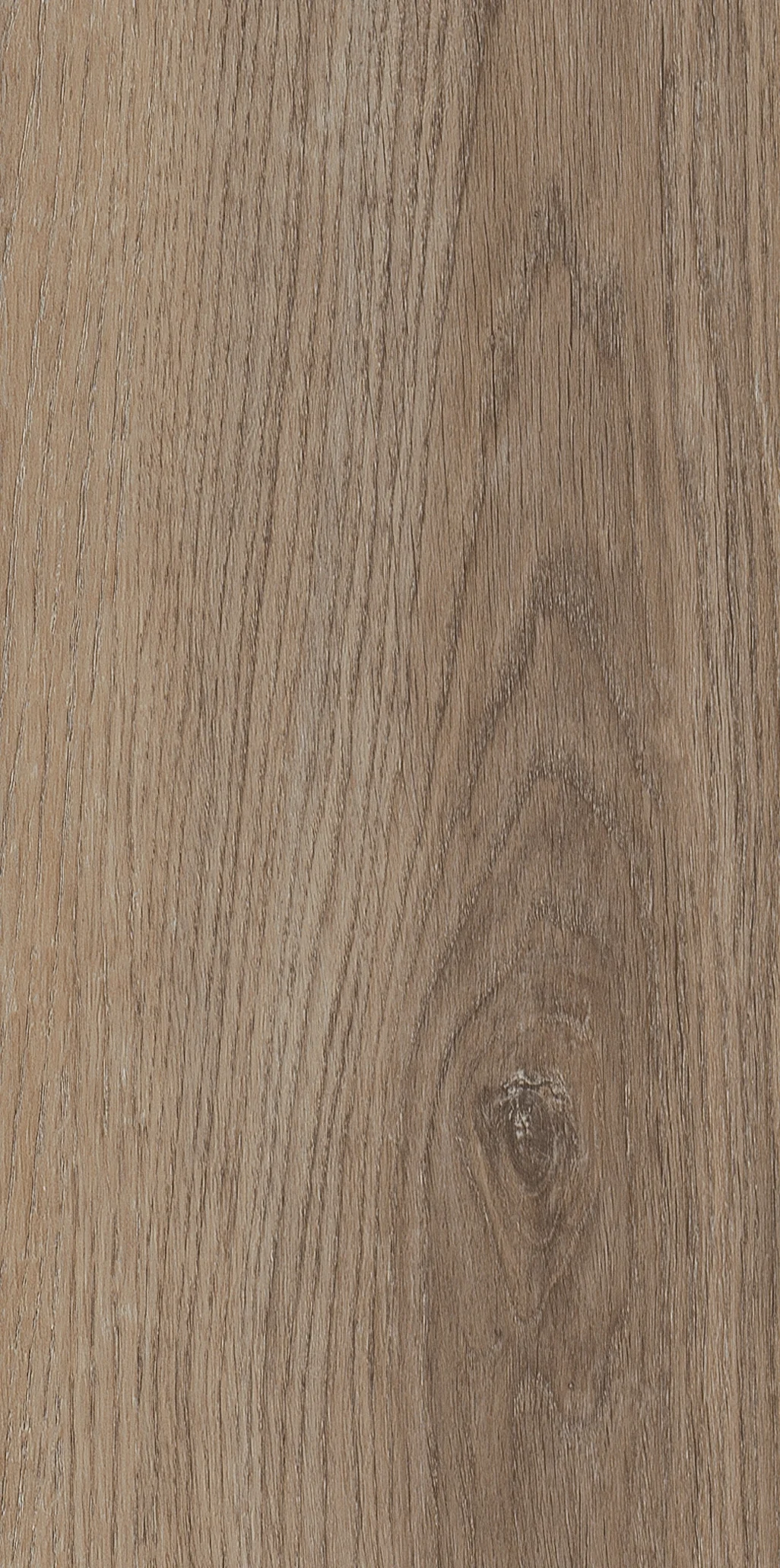 Invictus SHERWOOD OAK Natural