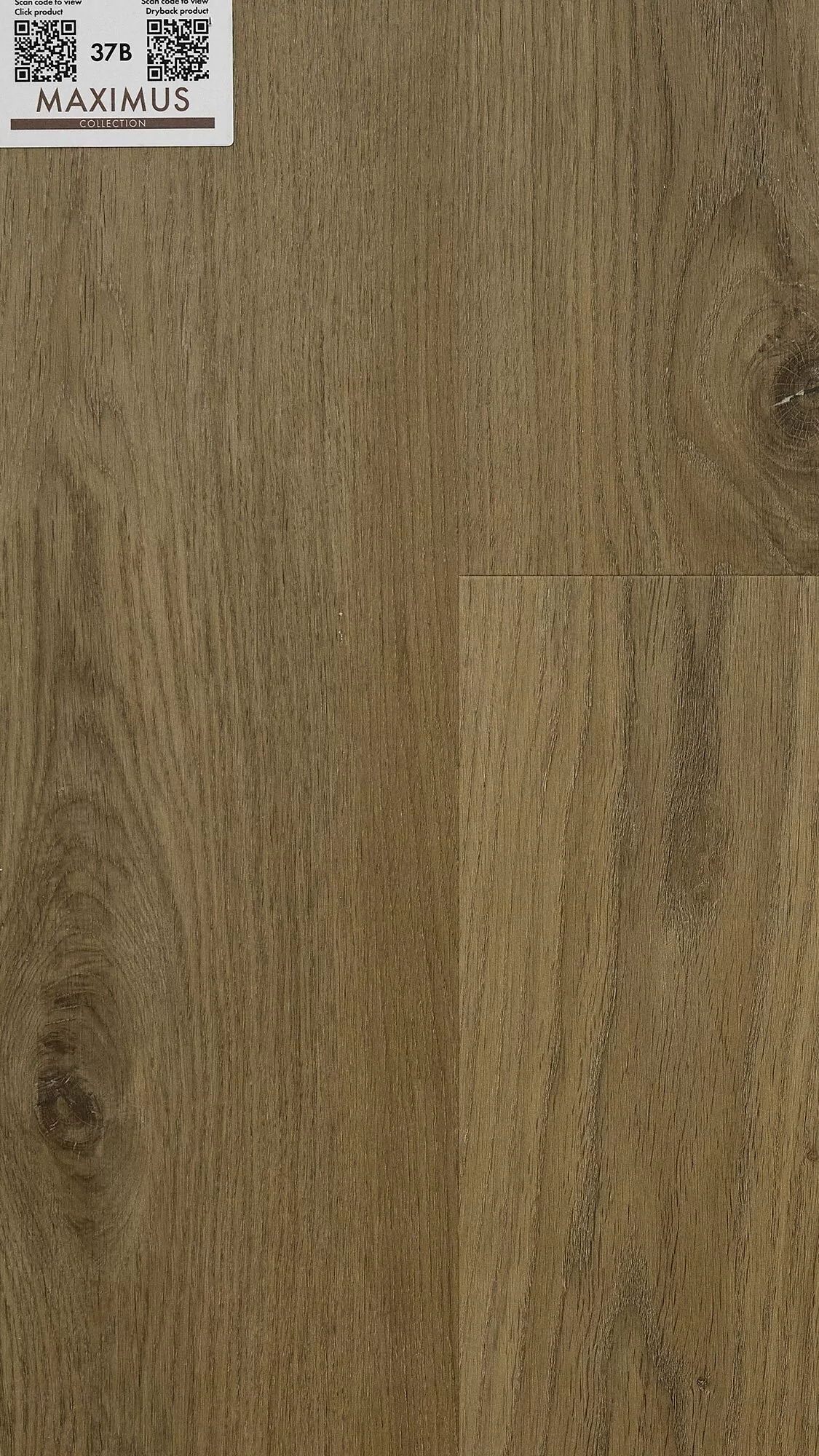 Invictus SHERWOOD OAK Natural