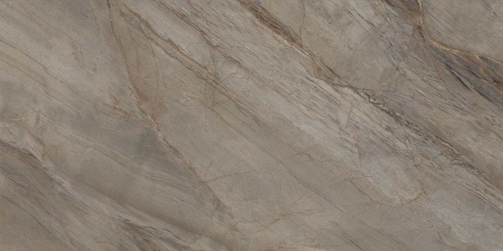 LCM Marmorise Marron   60120MAE21P  600*1200