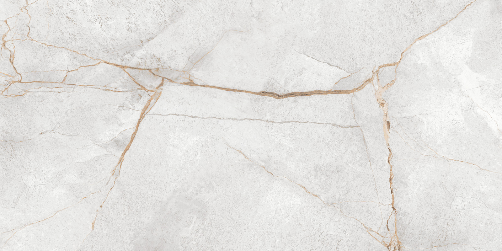 LCM  Special Marmo Gray 60120PEC15P  600*1200