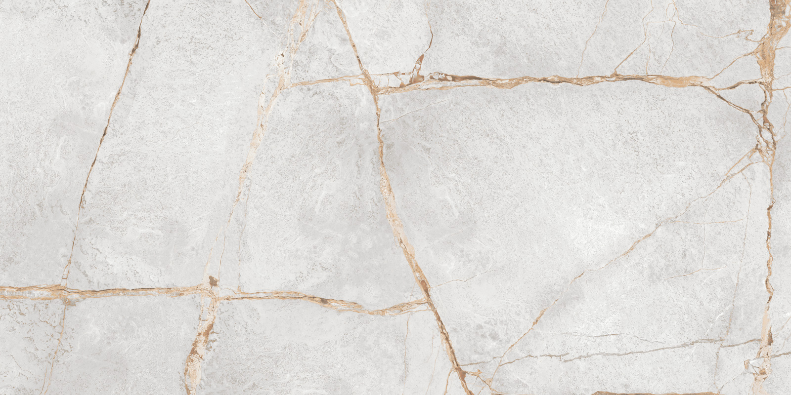 LCM  Special Marmo Gray 60120PEC15P  600*1200