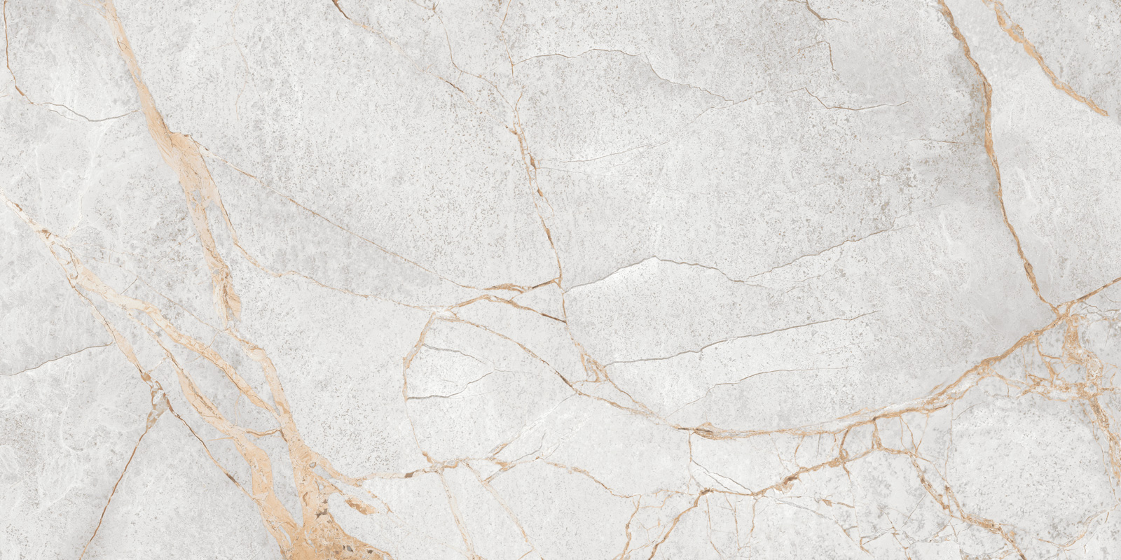 LCM  Special Marmo Gray 60120PEC15P  600*1200