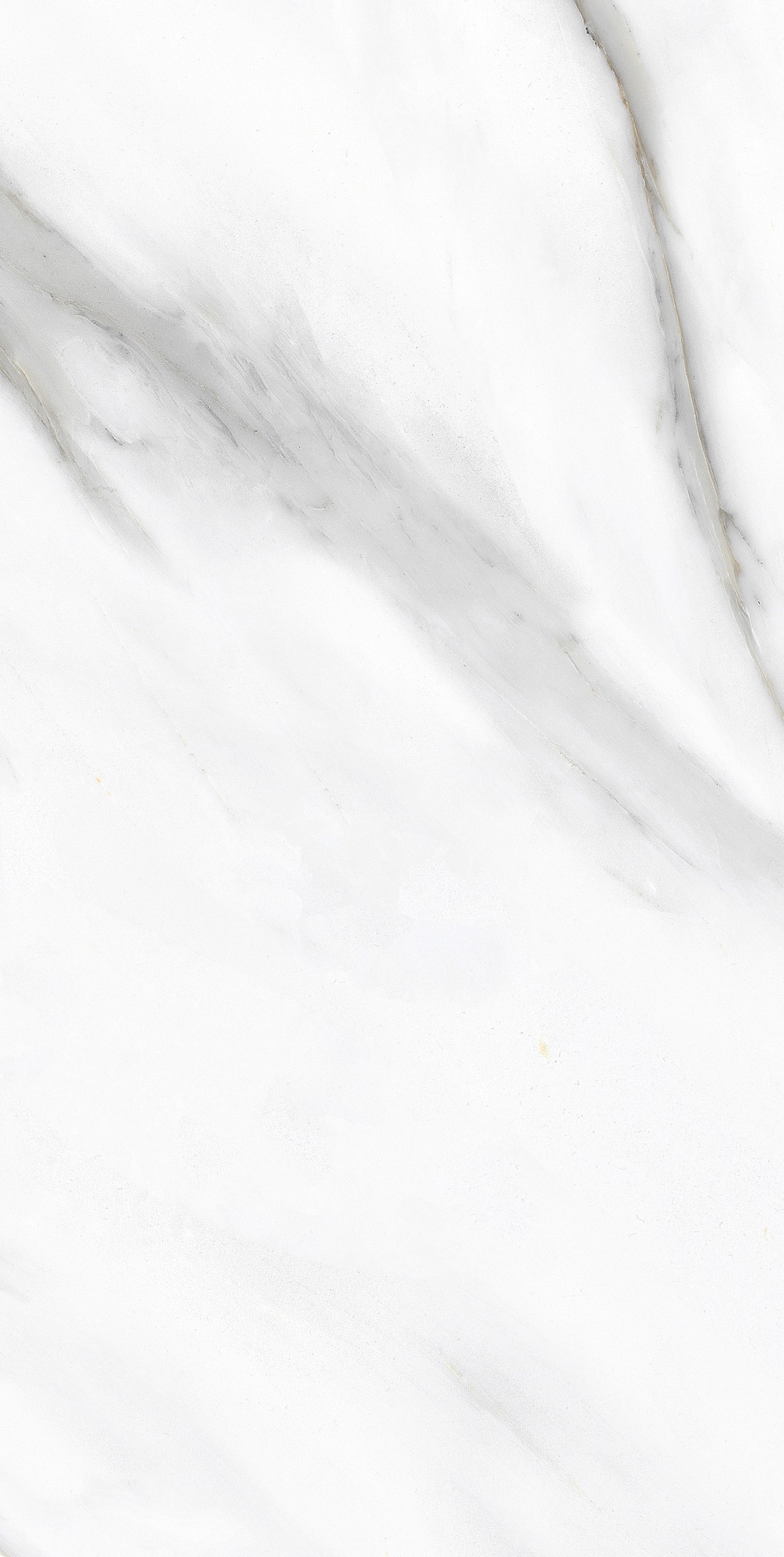 Primavera PR233 Pirgos White Polished 1200х600х9мм