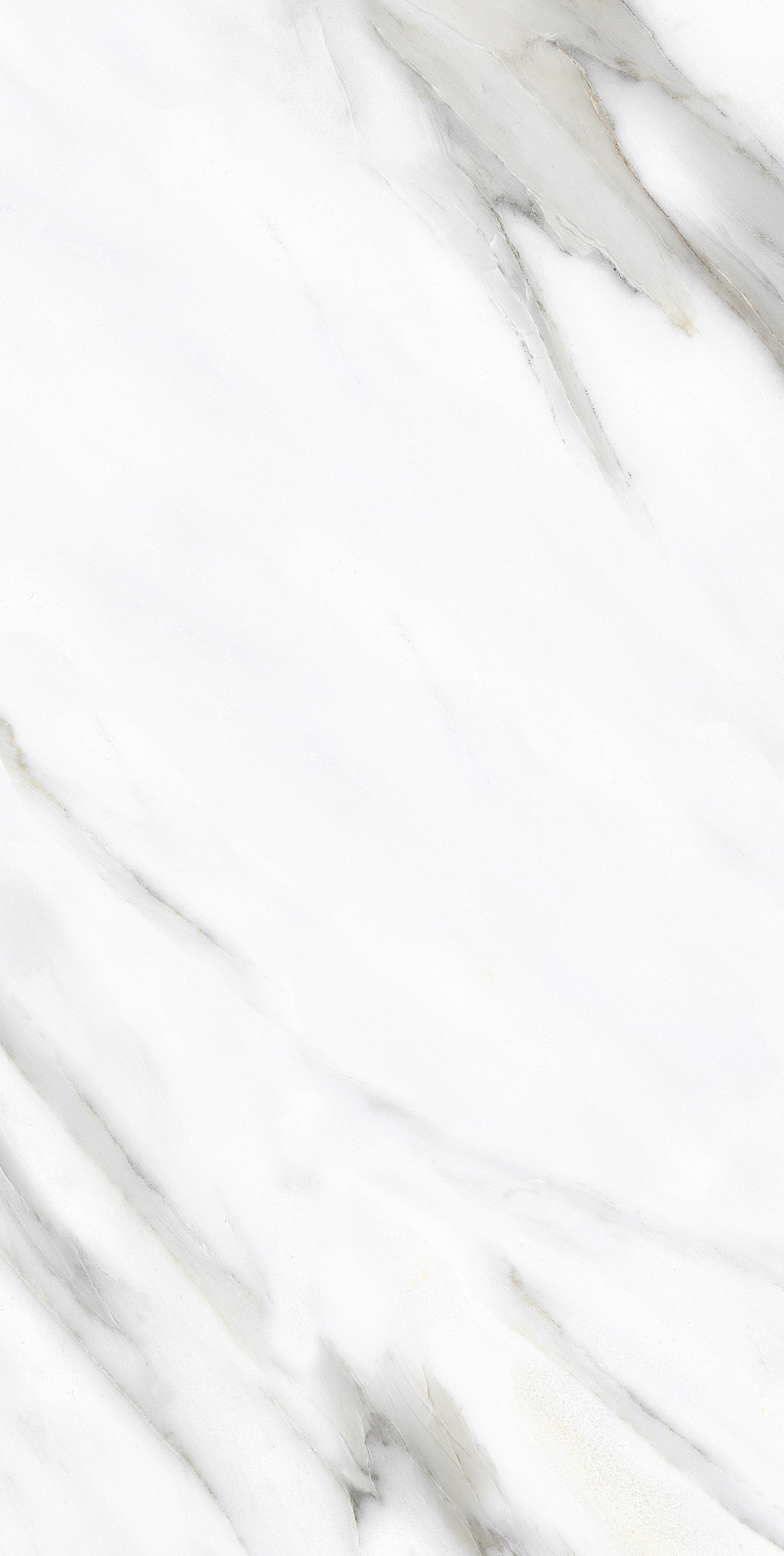 Primavera PR233 Pirgos White Polished 1200х600х9мм
