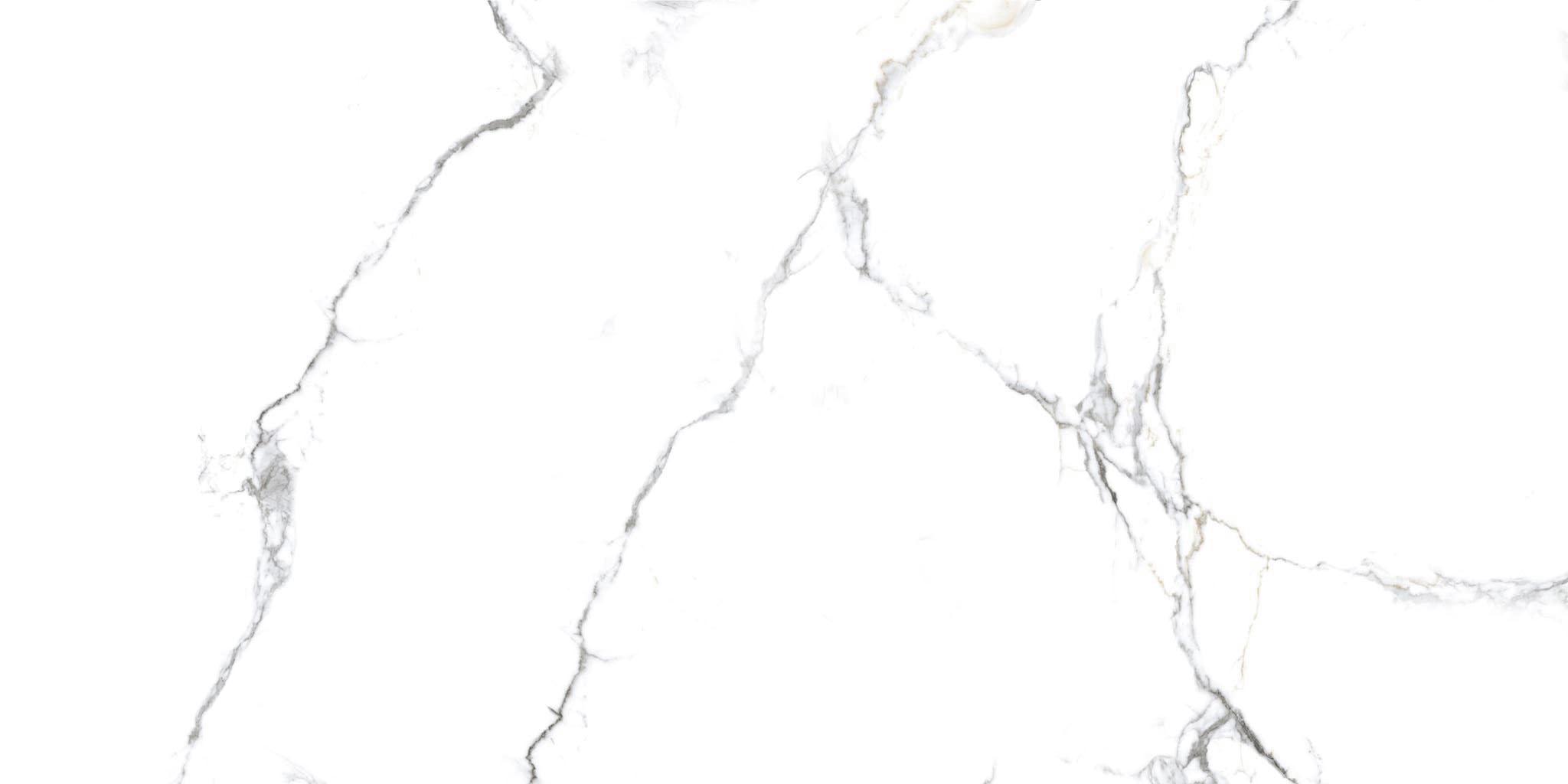 Primavera PR234  Acothly Polished 1200х600х9мм