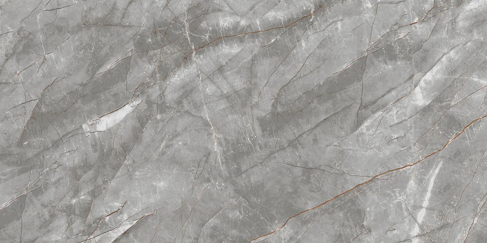 Primavera PR237 Vezin Grey Polished  1200х600х9мм