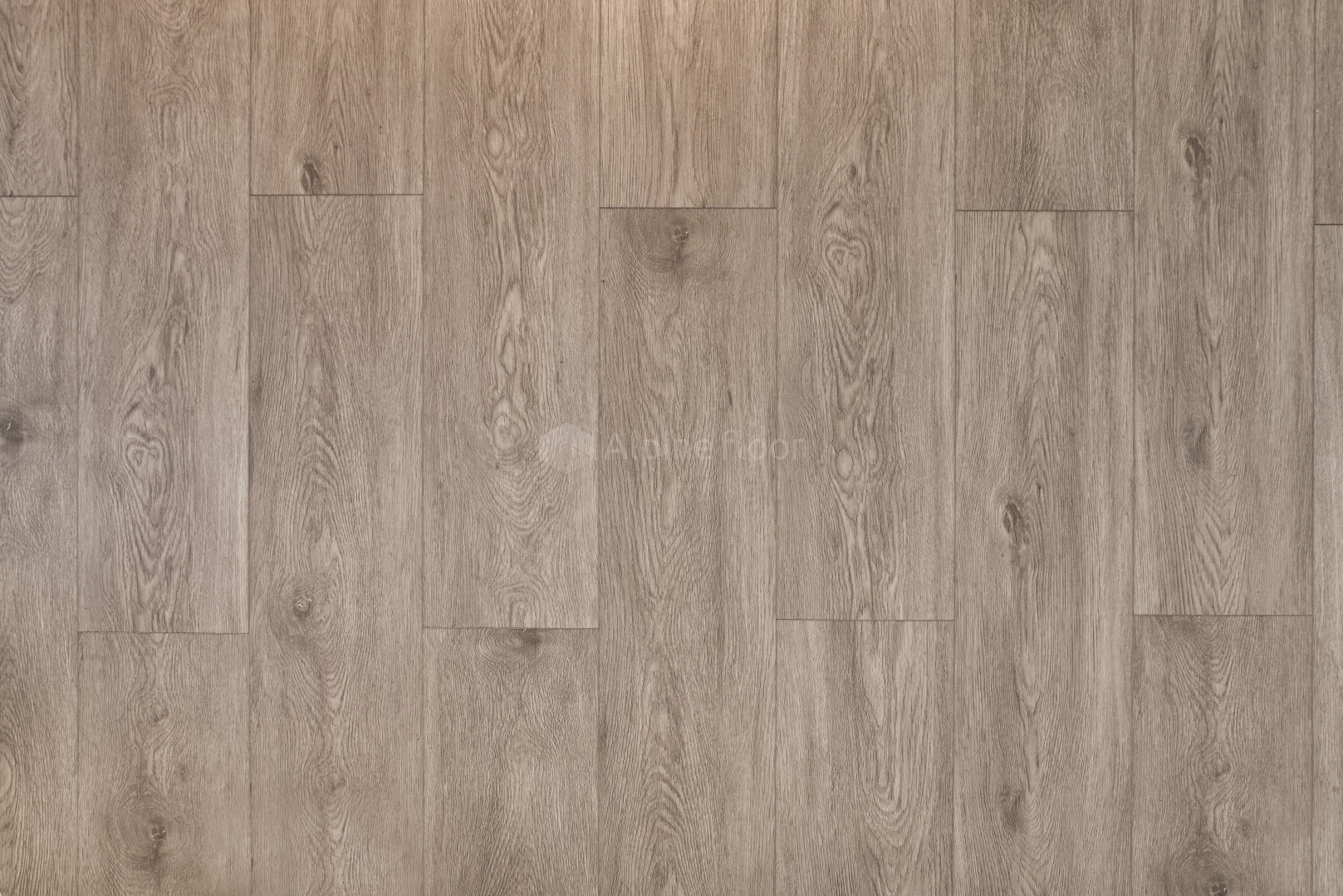 Alpine Floor Атланта ECO 11-202