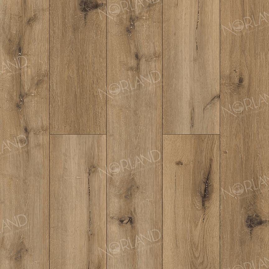 Norland Gutulia 1022-12