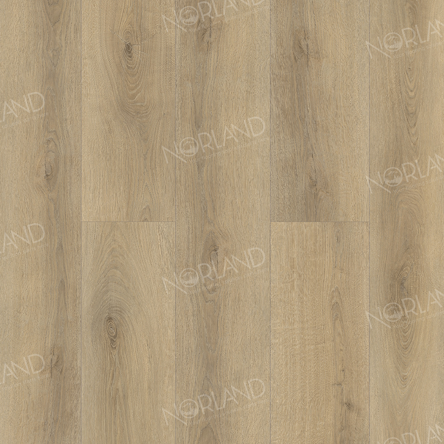 Norland Tisla 1022-20